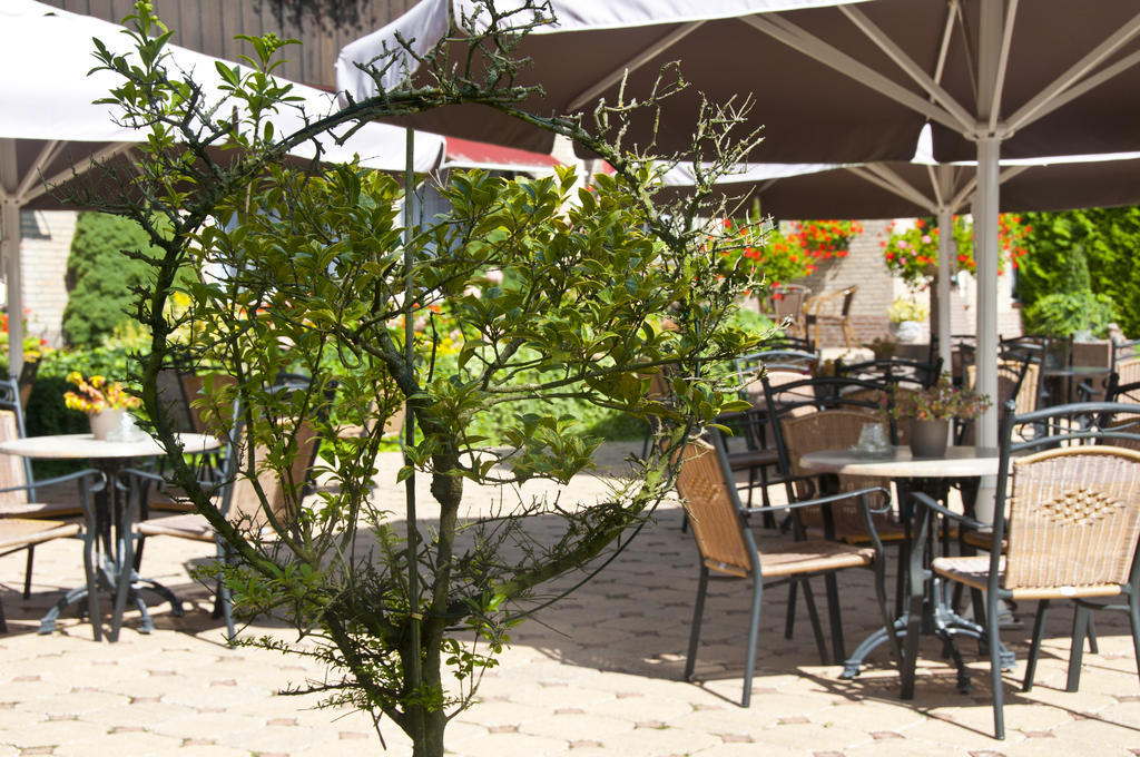 Hotel Steensel Exterior foto